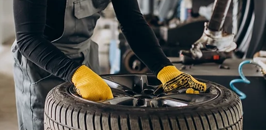 Koçaslanlar Motorlu Araçlar, Motorlu Araçlar, Koçaslanlar, Renault, Dacia