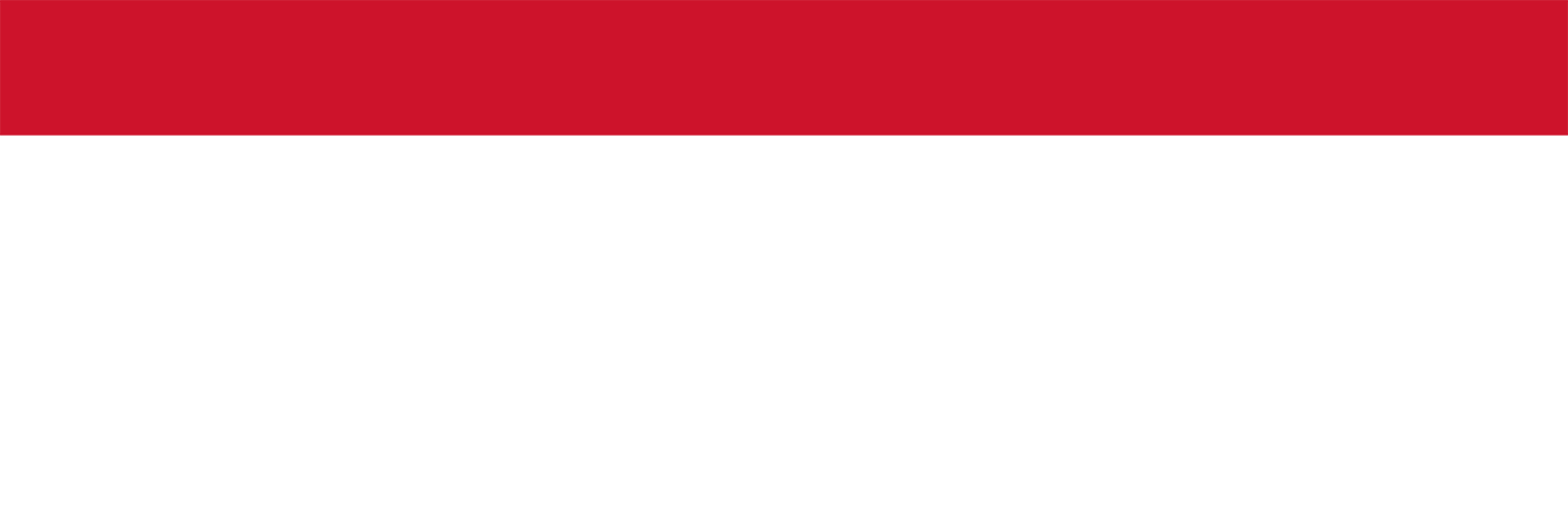 Koçaslanlar Motorlu Araçlar, Renault, Dacia, Renew, İkinci El, Koçaslanlar, Bursa